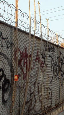 Love Note to New York