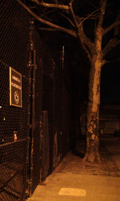 Love Note to New York