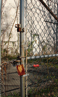 Love Note to New York